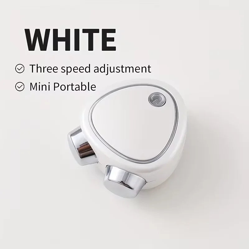 Mini Micro-Electric Facial Beauty Instrument Portable Dual-Head Massage
