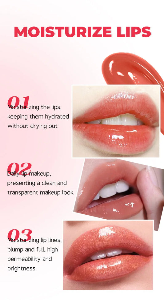 4 Colors Moisturizing Plumper Glitter Reducing Lip Lines Lip Gloss